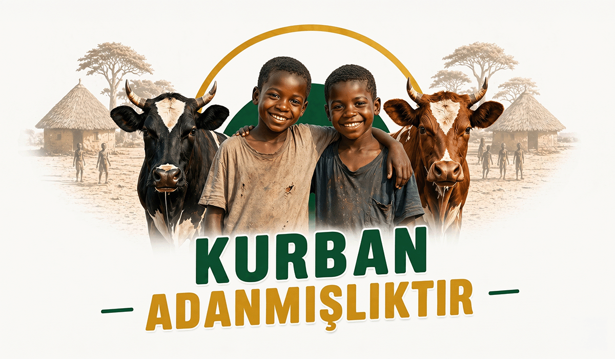 Afrika Hisse (Vacip Kurbanı)